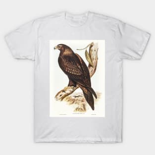 Wedge-tailed Eagle T-Shirt